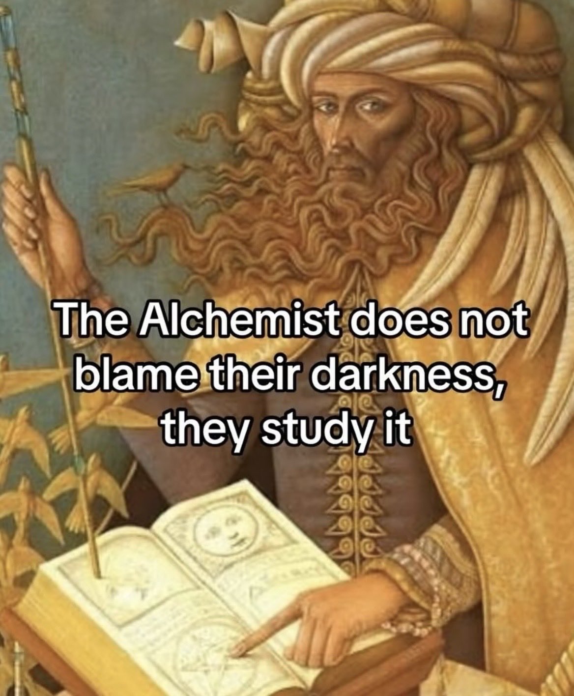 Illustration of an alchemist reading beside a caption about studying darkness